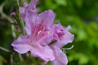 DSC_0872.JPG