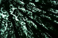 _DSC0040.JPG