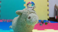 DVC00174.JPG
