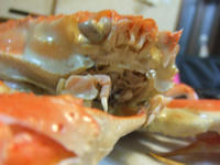 DSCF1493.JPG