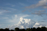 IMG_3319b.jpg
