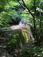 DSCF1589.JPG