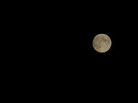 moon.jpg