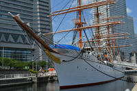 DSC_0177.JPG