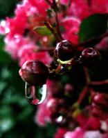 82e855c6.jpg