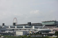 IMG_4220b.jpg