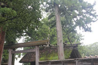 IMG_4558b.jpg