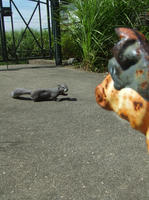 DSCF2315.JPG