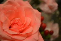 4d2b0340.jpg