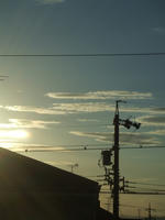 DSCF2385.JPG