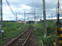DSCF2445.JPG