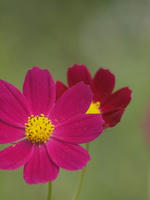 PA012757.jpg