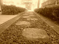 2011092413260000.jpg