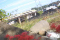 CSC_0640.JPG