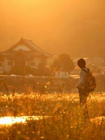 20111016069p.jpg
