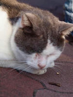 20111016063.jpg