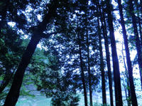 PB021777w.jpg