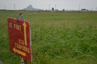 DSC_1092.JPG