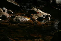 IMG_4635.JPG
