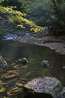 DSC_1147.JPG