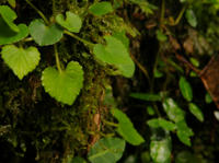 PB122008ee.jpg