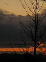 PB212202eew.jpg
