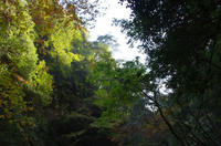 IMGP0359.JPG
