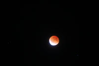 IMG_7701b.jpg