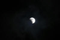 IMG_7627b.jpg