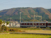 PC112390ww.jpg