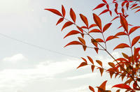 IMGP0711.JPG