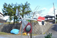 DSC_1371.JPG
