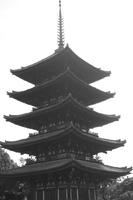 IMGP1305.JPG
