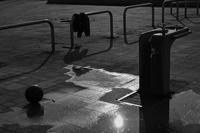 DSC_1589.JPG