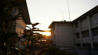 DSC00335.JPG