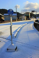 IMG_8455b.jpg