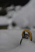 DSC_1702.JPG