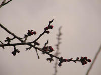 P3253275dwd.jpg