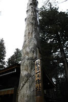 IMG_8847b.jpg
