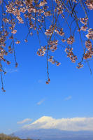 IMG_8920b.jpg