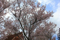 IMG_9150b.jpg