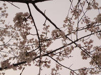 P4103595ug.jpg