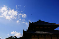 d2b85522.jpg