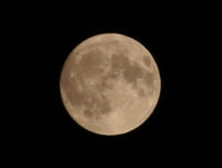 DSC03032.JPG