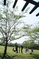 DSC02996.JPG