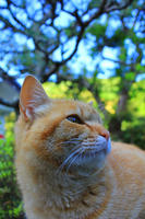 IMG_9672b.jpg