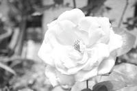 IMG_5602.JPG