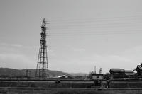 2907534d.jpg