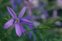 IMGP2735.JPG