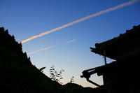 IMG_9878b.jpg
